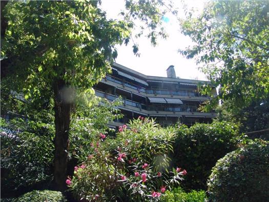 1548_019951_foto_1_350631070