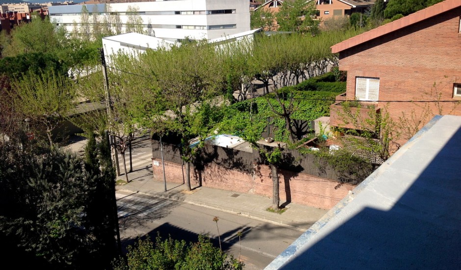 IMG_1617