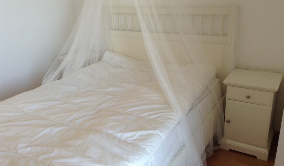 IMG_1211