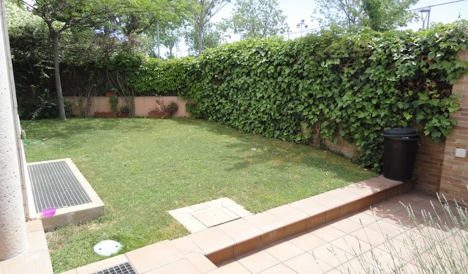 Copia de DSC07647