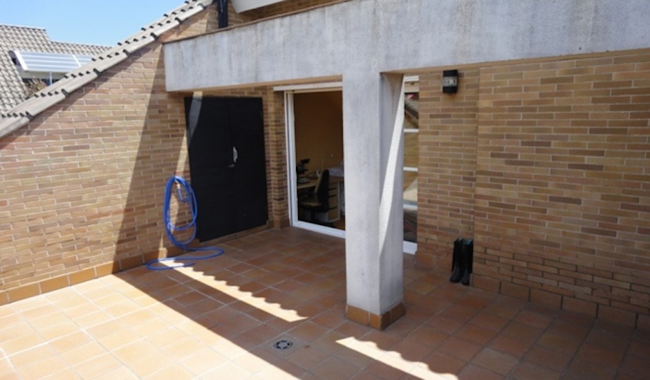 Copia de DSC07704