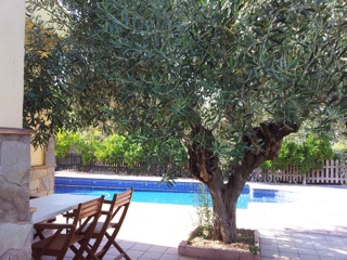 jardin 2