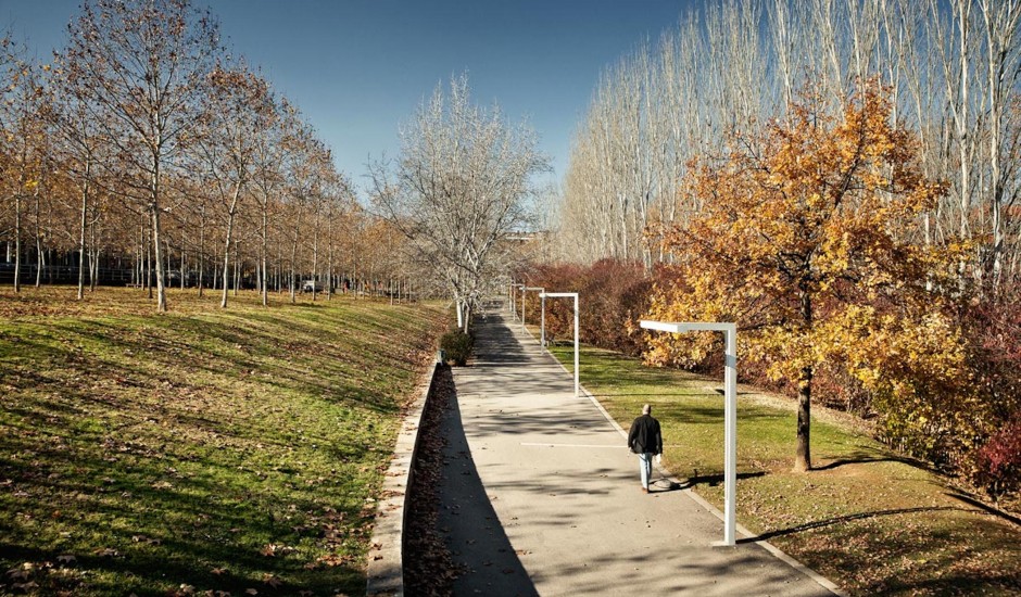 PARC-CENTRAL-02