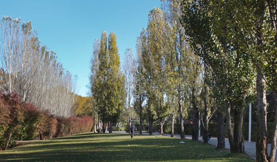PARC CENTRAL